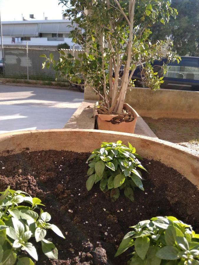 Spyros Studio Nafplio Ngoại thất bức ảnh